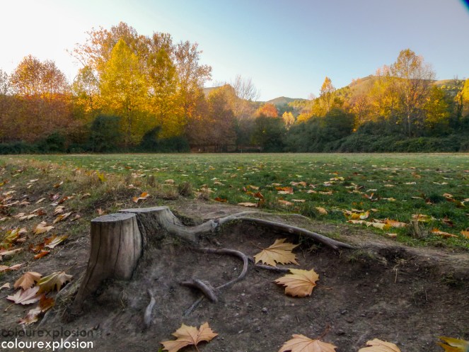 Un trocito de campo en el que jugar a cualquier deporte.