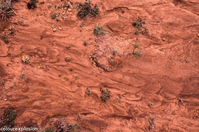 El camino dibujado por el agua.