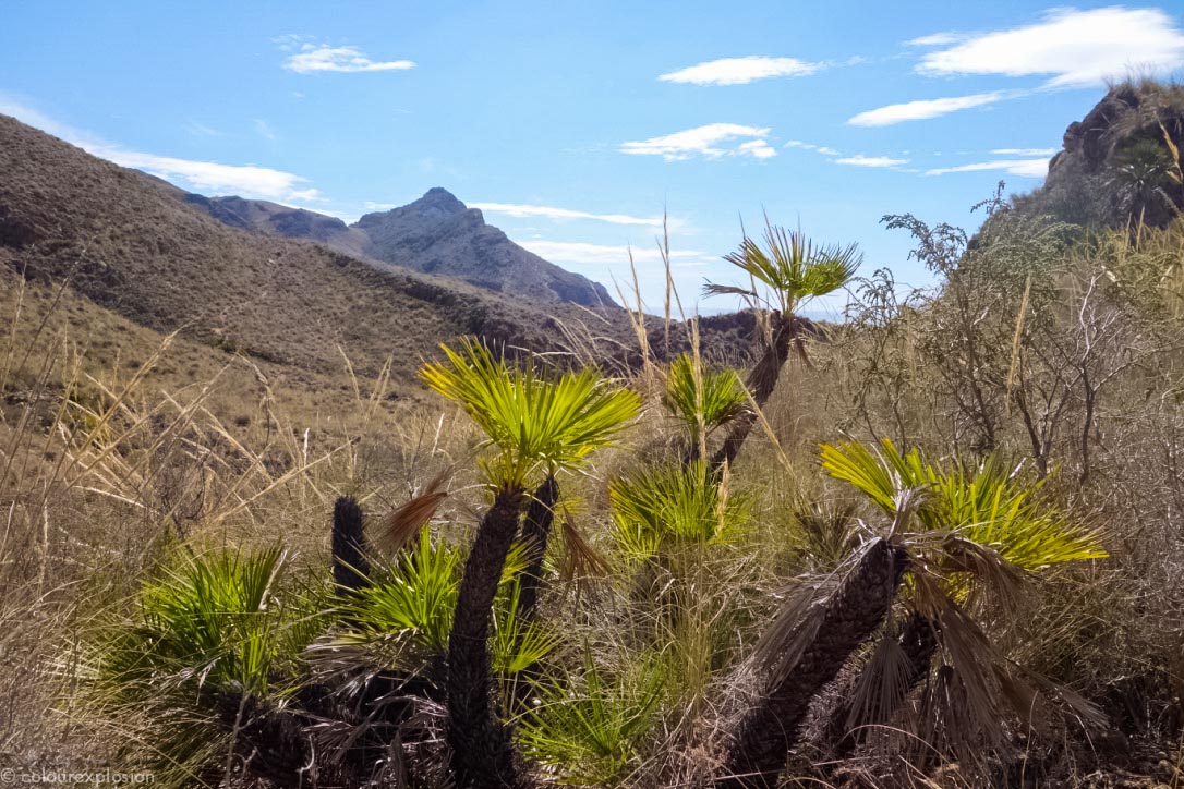 thumb__DSC2279_1024-2