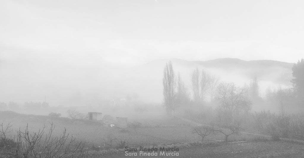 unadjustednonraw_thumb_1924