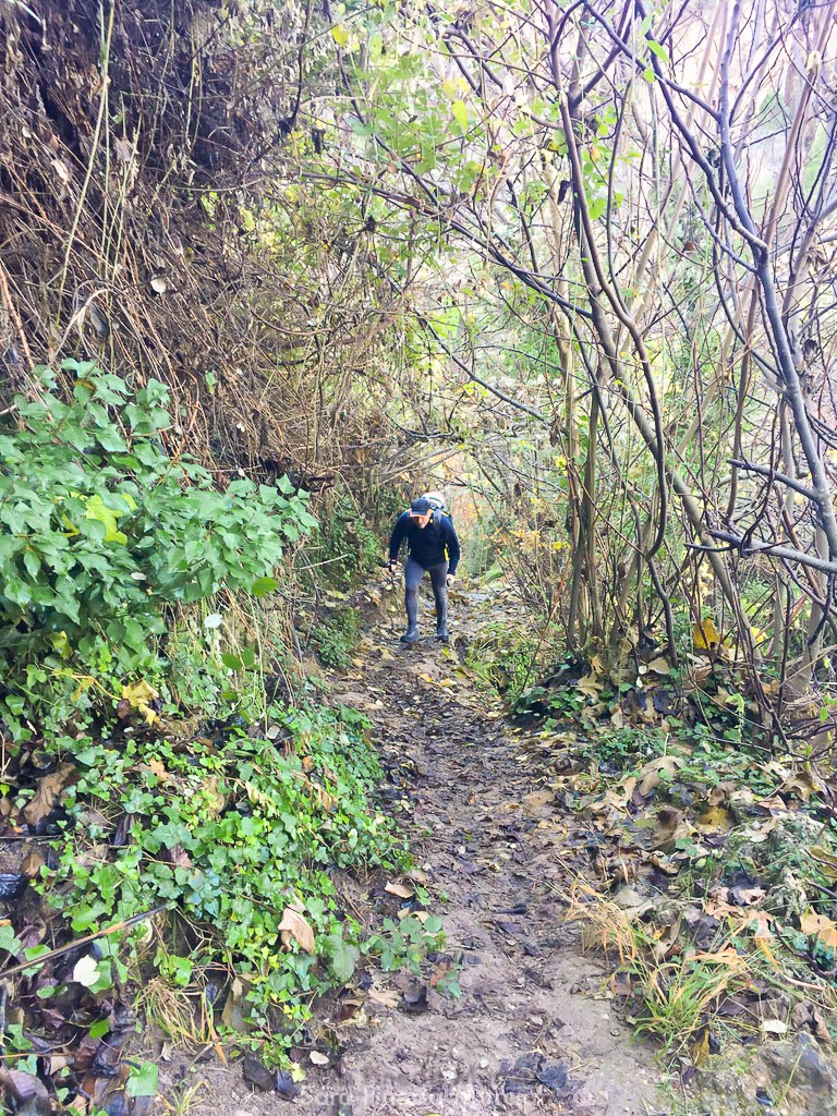 unadjustednonraw_thumb_1930